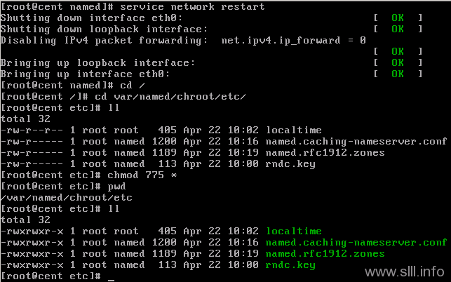 CentOS/Linux域名服务器/DNS配置 - 12