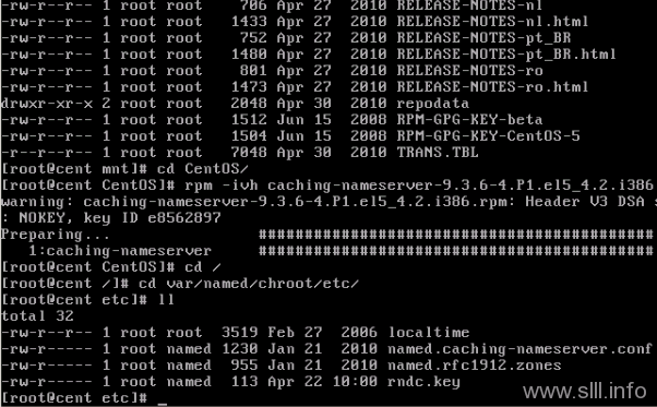 CentOS/Linux域名服务器/DNS配置 - 10