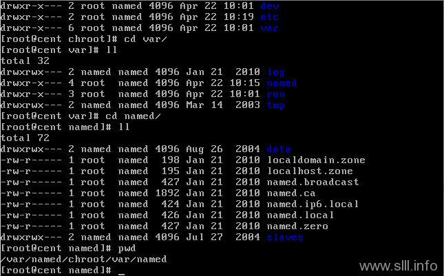 CentOS/Linux域名服务器/DNS配置 - 30