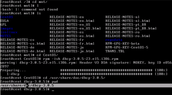 Linux/CentOS配置DHCP服务器实现单网卡多网段分配地址 - 6