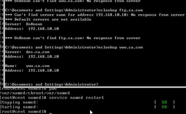 restartdns